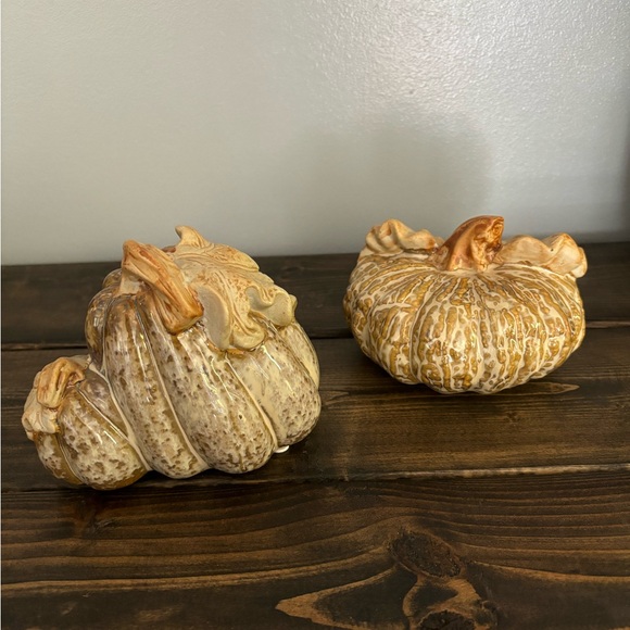Decorative Fall Pumpkins 🎃🧡 - Picture 2 of 3